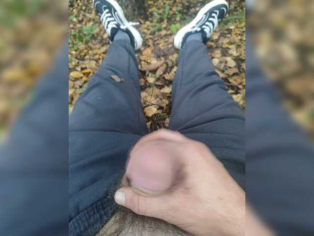Shpalerr1