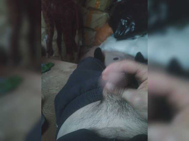 Shpalerr1
