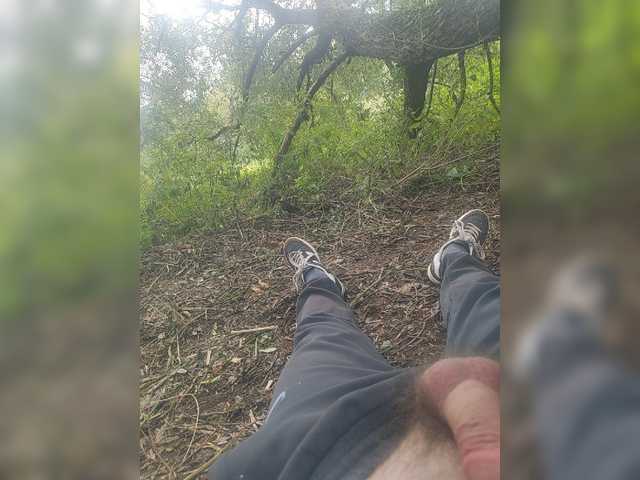 Shpalerr1