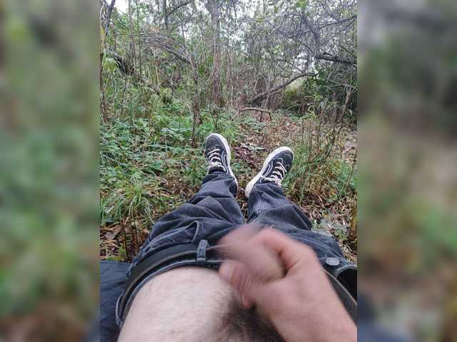 Shpalerr1