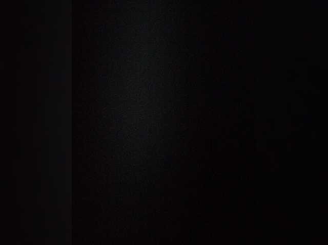 Shpalerr1
