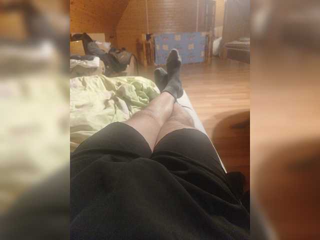 Shpalerr1