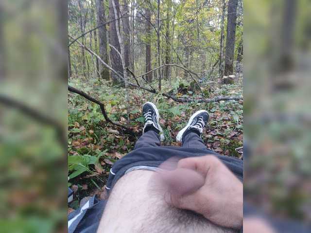 Shpalerr1