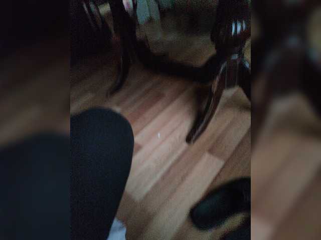 Shpalerr1
