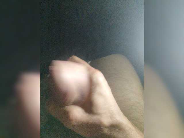 Shpalerr1