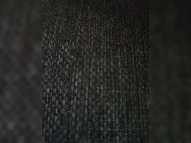Shpalerr1