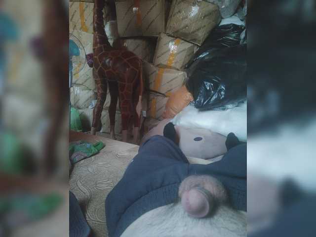 Shpalerr1