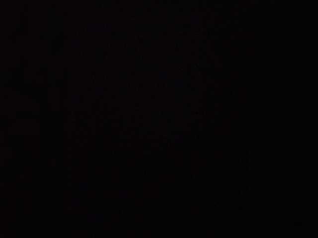 Shpalerr1
