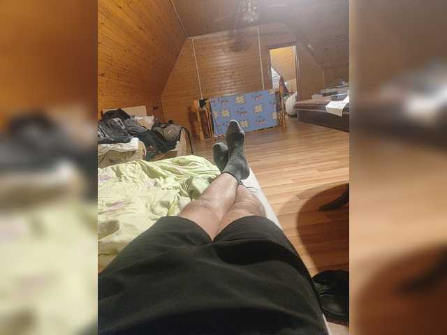 Shpalerr1
