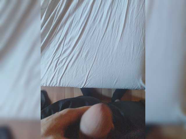 Shpalerr1