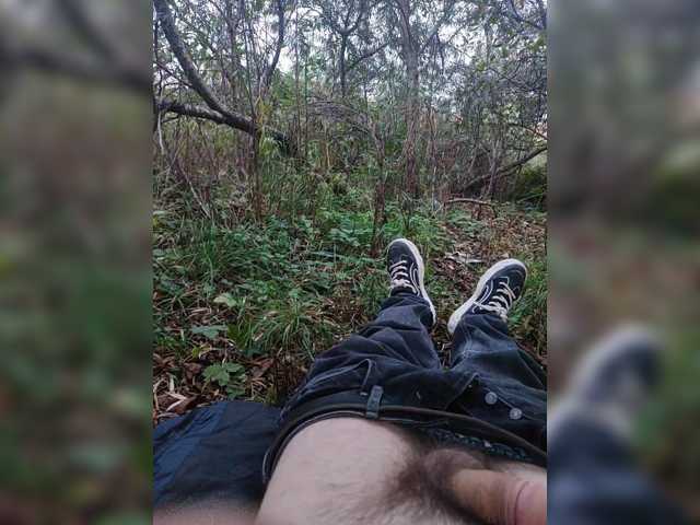 Shpalerr1