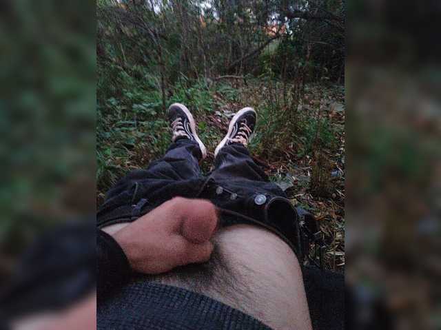 Shpalerr1
