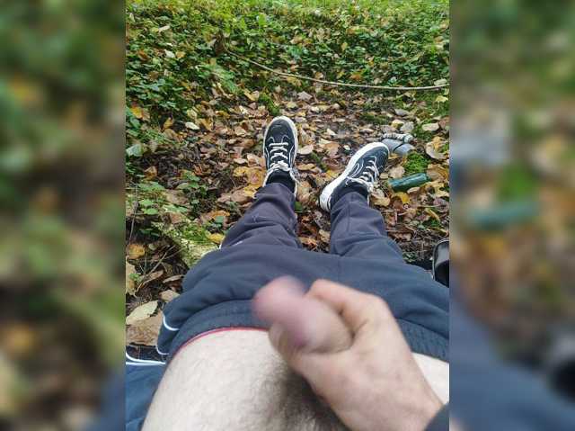 Shpalerr1