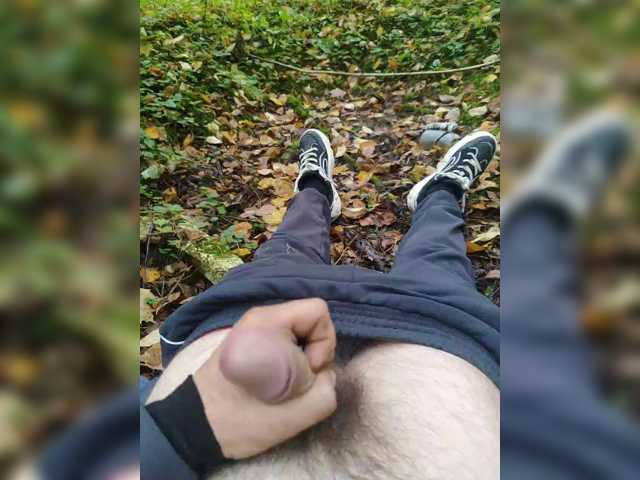 Shpalerr1