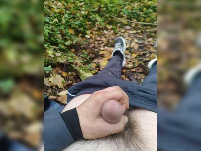 Shpalerr1 — live male cam