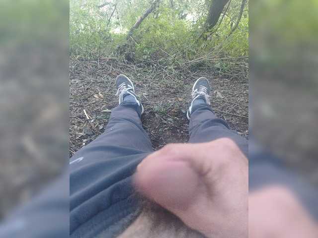Shpalerr1