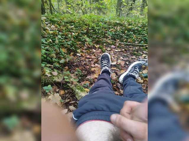 Shpalerr1