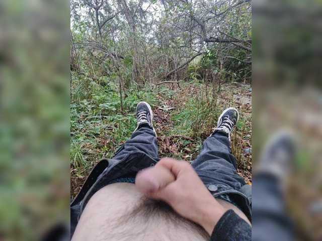 Shpalerr1