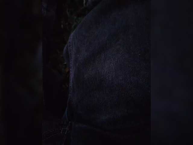 Shpalerr1