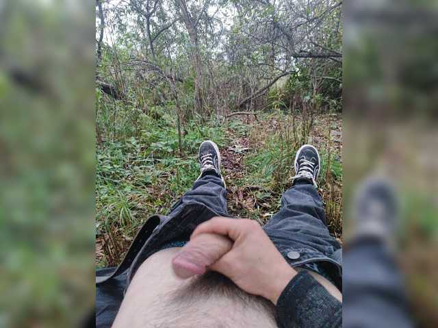 Shpalerr1