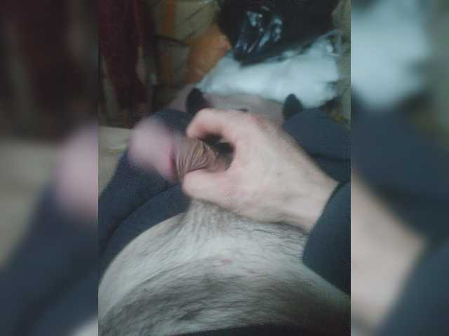 Shpalerr1