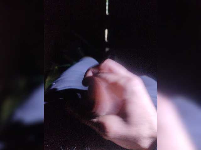 Shpalerr1
