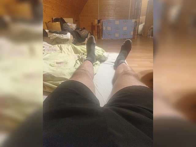 Shpalerr1