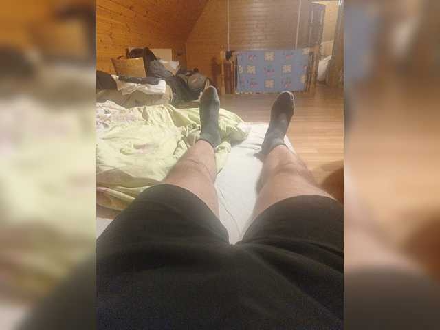 Shpalerr1