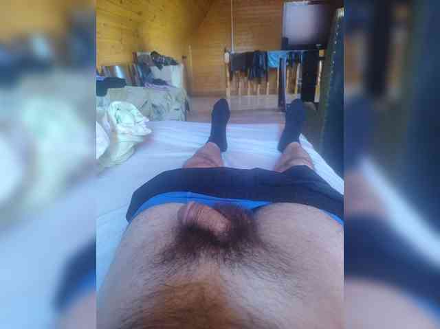Shpalerr1
