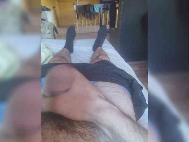 Shpalerr1 Shpalerr1