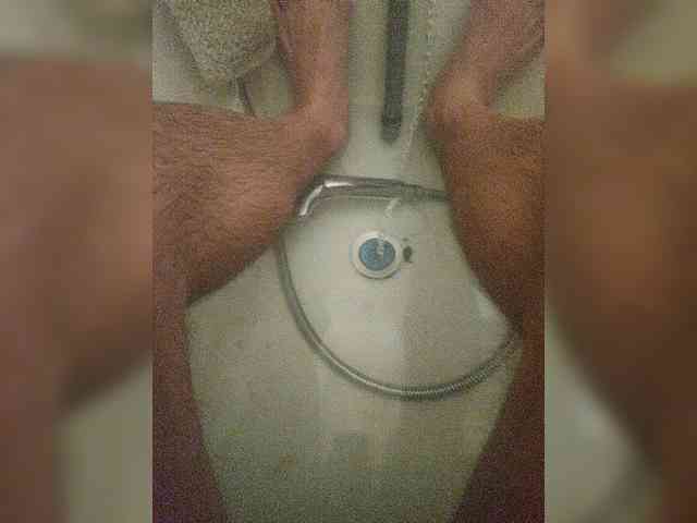 Shpalerr1