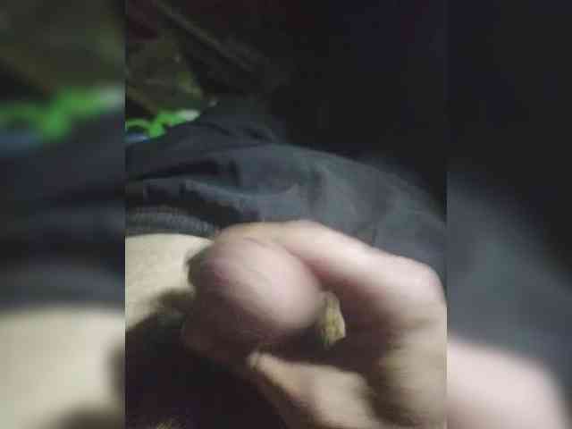 Shpalerr1