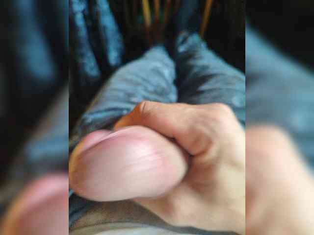 Shpalerr1