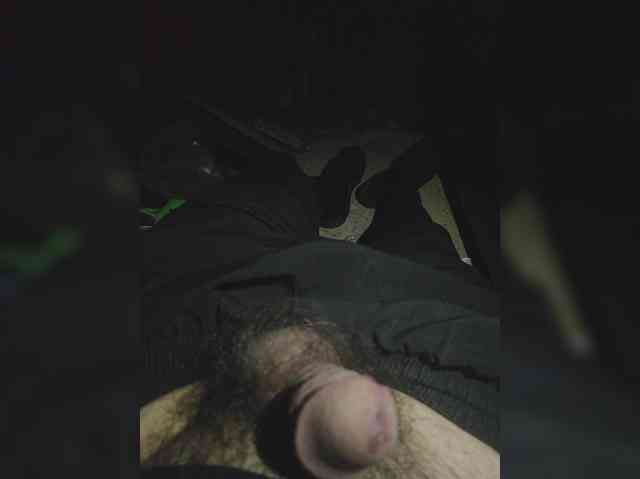 Shpalerr1