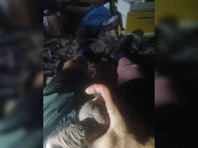 Shpalerr1 Sex Cam Show