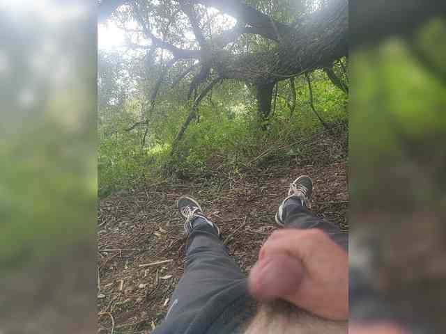Shpalerr1
