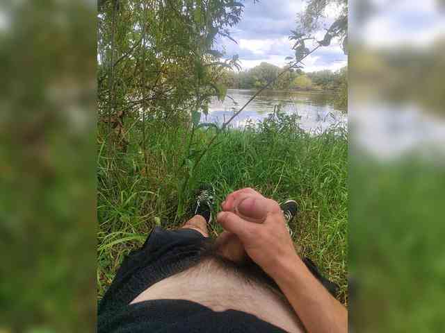 Shpalerr1