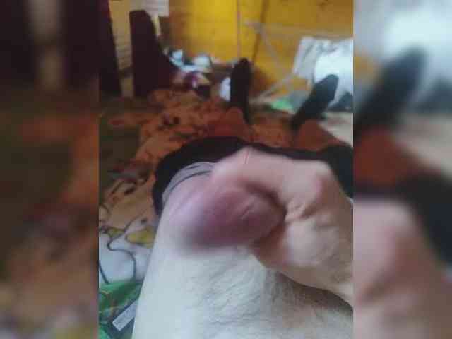 Shpalerr1