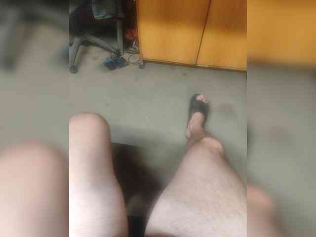 Shpalerr1