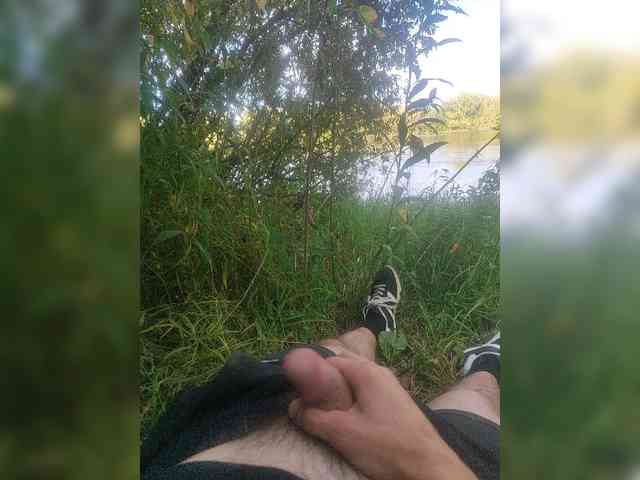 Shpalerr1