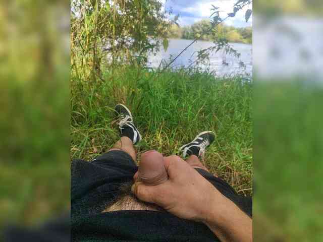 Shpalerr1