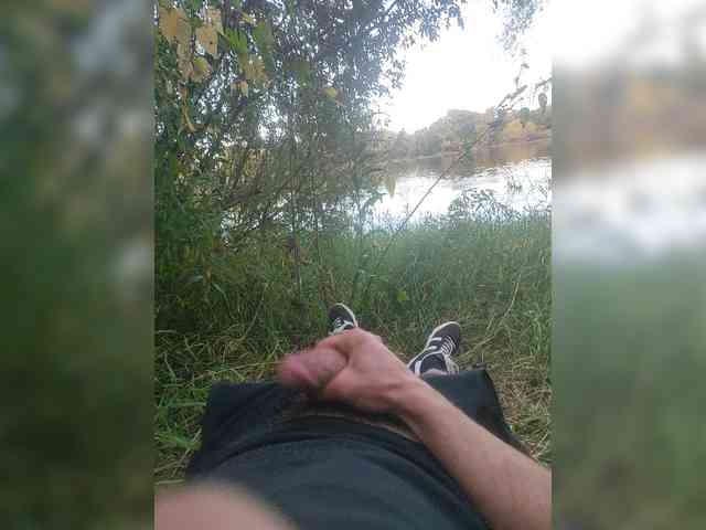 Shpalerr1