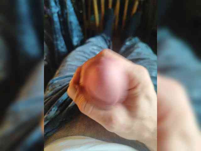 Shpalerr1