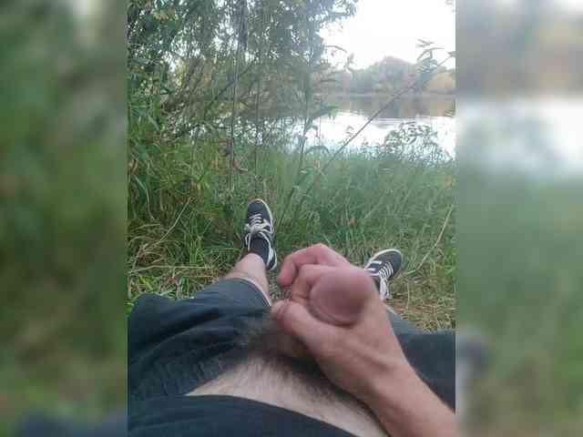 Shpalerr1