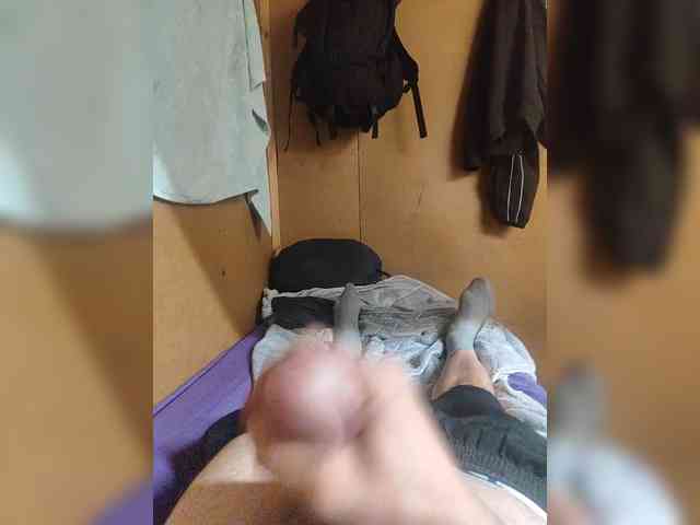 Shpalerr1