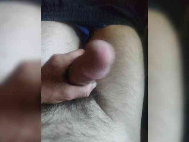 Shpalerr1 Shpalerr1