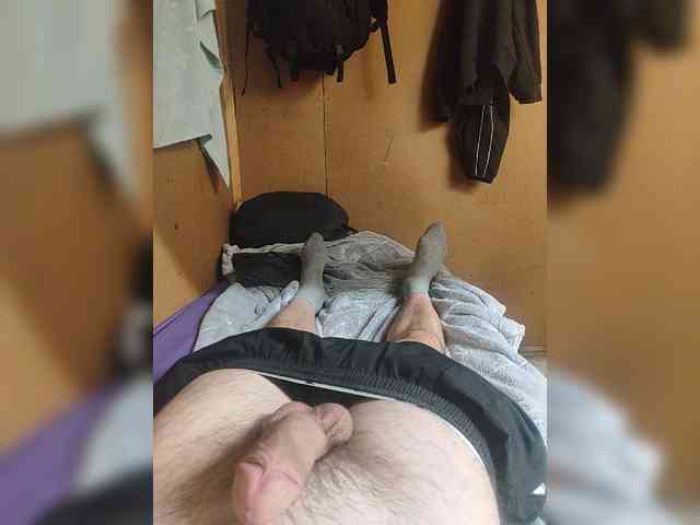 Shpalerr1 Shpalerr1