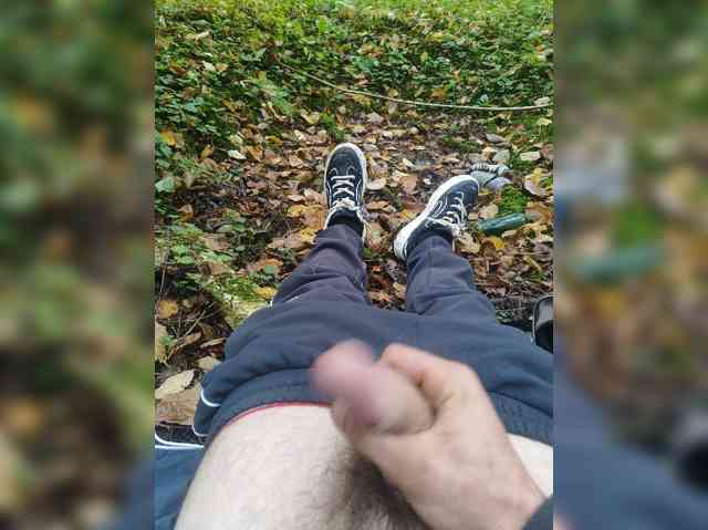 Shpalerr1
