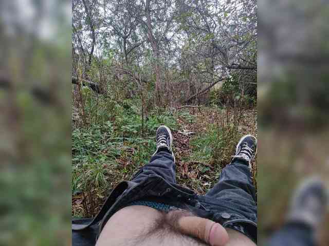 Shpalerr1