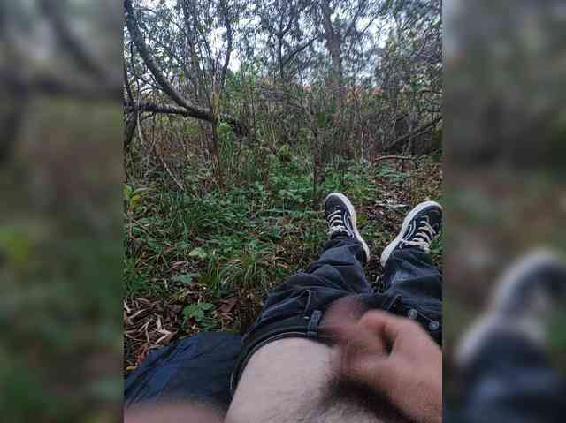 Shpalerr1